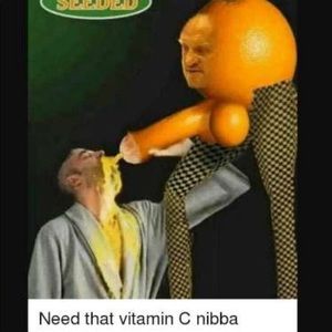 Meet your Posher, Damon